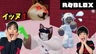 【ROBLOX】イヌやネコからにげてミッションをこなそう！ [upl. by Han980]