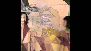 Gotye  Somebody That I Used To Know ft Kimbra Robotic Pirate Monkey Remix [upl. by Severen209]