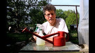 Watering and Fertilizing My Bonsai Trees June 2017 [upl. by Annert]