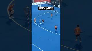 Hockey receiving and goal hockeyskills fieldhockey hockeydrills hockey hockeyshorts [upl. by Eugatnom]