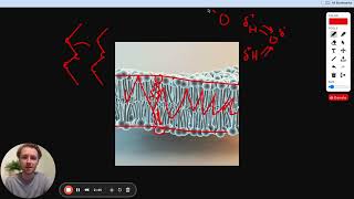 MCAT Question of the Day Cell Membranes and London Dispersion Forces [upl. by Emirac]