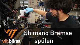 Shimano Bremse entlüften Teil 1  Spülen  vitbikesTV 193 [upl. by Corabelle]