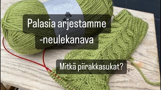 Palasia arjestamme 2124  Mitkä piirakkasukat [upl. by Styles]