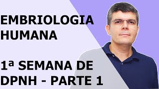 EMBRIOLOGIA  PARTE 16  PRIMEIRA SEMANA DO DESENVOLVIMENTO PRÉNATAL HUMANO PARTE 1 [upl. by Ecinahc]