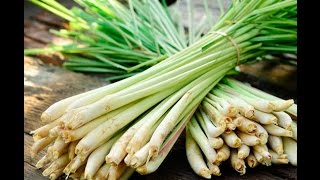 How to prepare Lemongrass for cooking [upl. by Ellissa487]