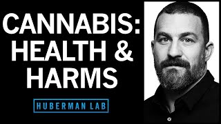 The Effects of Cannabis Marijuana on the Brain amp Body  Huberman Lab Podcast 92 [upl. by Agate]