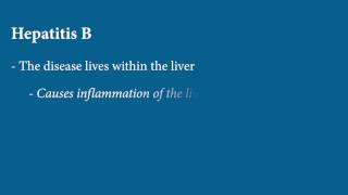 Liver Disease  Hepatitis B [upl. by Rozella809]