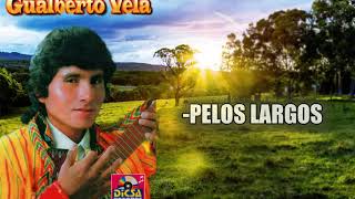 Gualberto Vela  PELOS LARGOS [upl. by O'Kelly]