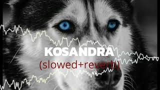 Kosandra slowedreverbed song attitude carsongs slowedandreverb [upl. by Tristis]