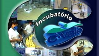 CVale incubatóriompg [upl. by Llemor]