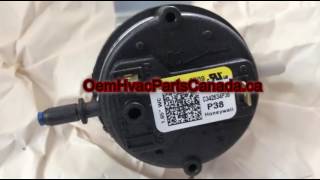 Honeywell IS204286159 Pressure Switch [upl. by Kcirded]