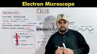 Electron Microscope Transmission and Scanning Electron Microscope O amp A Level Biology [upl. by Unam]