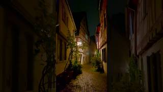 🇩🇪 Höchst deutschland frankfurtammain hessen oldtown walking travel [upl. by Rettig]