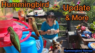 Hummingbirds Return to Fall RETREAT for Hummingbird Nectar Recipe in Feeders amp Flowers ORIOLE Update [upl. by Consuela321]