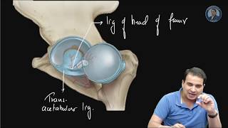 Hip Joint Ligaments  Anatomy Video NEET PG AIIMS [upl. by Preston]