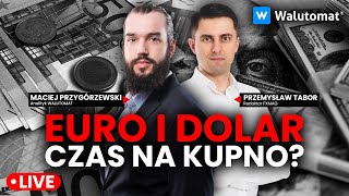 Kurs złotego w odwrocie Co dalej z euro dolarem i funtem [upl. by Navinod325]