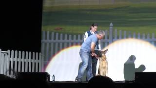 cesar millan live in ahoy quotgerman sheppardquot [upl. by Thrift935]