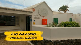 Discover the Magic of Las Gaviotas Apartments Lanzarote [upl. by Alikee789]