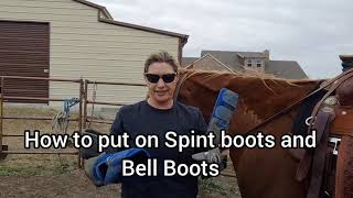 How to Properly Put on Splint and Bell Boots  Regency brand [upl. by Yllah265]