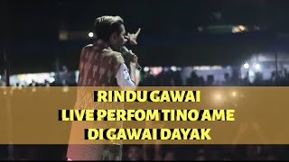 Tino AMEE Dayakng Janjola LIVE Gawai Dayak Sekadau 2019 [upl. by Elatnahc]