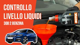 Controllo e rabbocco livello liquidi Peugeot 308 2 16 THP 📏 [upl. by Reffotsirk]