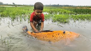 Amazing Traditional Boy Fish Catching By Hand in Water  Amazing Hand Fishing Video Fish [upl. by Neelloc557]