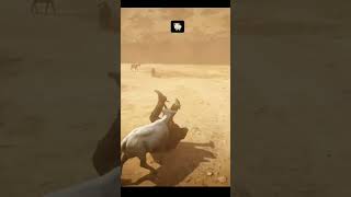 Rdr2 🤠 Vs🐏rdr2 rdr [upl. by Notneuq]