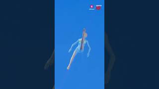 Artistic Swimming in Olympics 2024 shorts olympicsonjiocinema cheer4bharat zeeswitch [upl. by Samson]