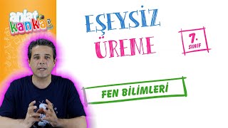 Eşeysiz Üreme 7 Sınıf [upl. by Euqinmod447]