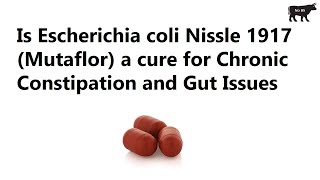 Is Escherichia coli Nissle 1917 Mutaflor a cure for Chronic Constipation and Gut Issues [upl. by Ylrac]