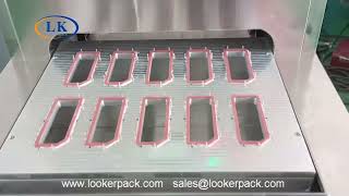 LK6555 Medical implants and components Blister sealing machine manufacturer [upl. by Noble]