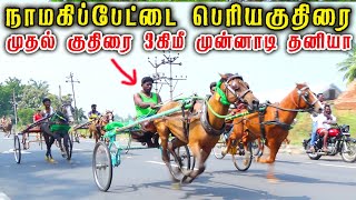 15 ஆண்டுகளுக்கு பிறகு நாமகிரிப்பேட்டையில் பெரியகுதிரை [upl. by Edrea574]