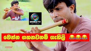 Melodious Flute Playing  මෙන්න ගහනවනම් ගැහිලි  mobiletv funny foryou trending trendingvideo [upl. by Nnylidnarb622]