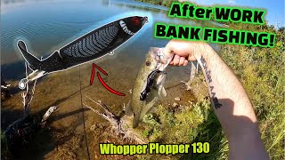 Afternoon TOPWATER BANK FISHING  Had 30 mins to fish a local lake  River2Sea Whopper Plopper 130 [upl. by Hannaoj232]