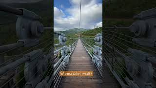 Have you braved SkyBridge travel gatlinburg familyvlog bridge scary [upl. by Attenweiler794]