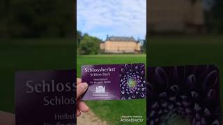 Ausflugstipp Schlossherbst Schloss Dyck 2024 shorts [upl. by Enelyahs]