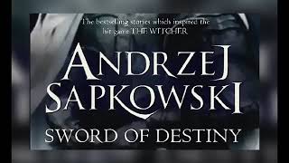 The Witcher Sword of Destiny Book 3 [upl. by Htiel]