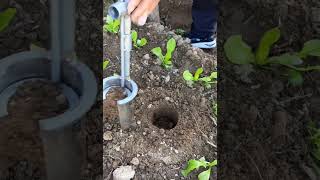 Seedling Transplanter  very helpful agricultural tools [upl. by Azral71]