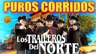 Puros Corridos De Los Tigres Del Norte Mix  Los Tigres Del Norte Mix Exitos Pa Pistear [upl. by Truman152]