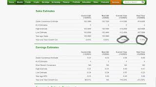 Vimeo VMEO and The Trade Desk TTD are aggressive growth stocks [upl. by D'Arcy387]