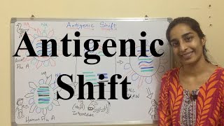 Antigenic Shift  Antigenic Shift in Influenza Virus  Science Land [upl. by Sikata]