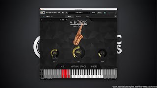 VHorns Saxophones by acousticsamples  Overview [upl. by Nygem]