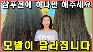 샴푸하기 10분전 딱 하나만 해주세요 빠짐도 머릿결도 완전히 달라집니다 비용 없음 [upl. by Einre]