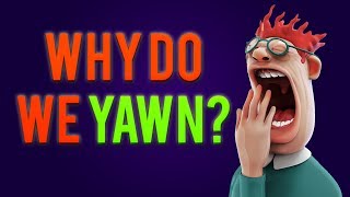 Why Do You Yawn When Others Yawn [upl. by Isaak]