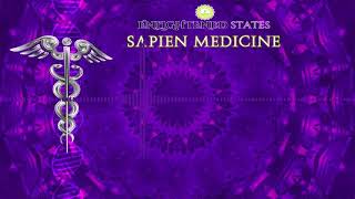 Core Strengthening by Sapien Medicine EnergeticallyMorphic Programmed Audio [upl. by Anivlis]