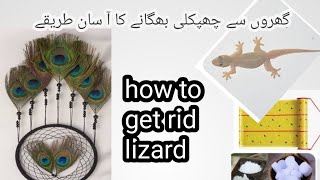 How to get rid lizardChipkali ko Marny ka tareeqaGet rid lizardlizard killer tipshome remedy [upl. by Hesler]