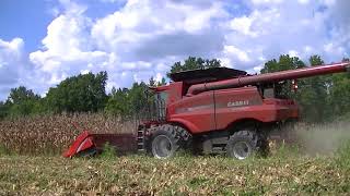 Sunbury NC corn harvest part 3 [upl. by Karlotte]