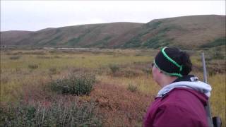 Caribou hunting near the NWT Yukon border [upl. by Kizzee]