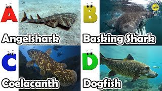 ABC phonics animals  ABC Sea Animals song  English and Animals for Kids  Alphabets Kids Song [upl. by Tadeas117]