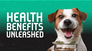 Health Benefits Unleashed [upl. by Haim]